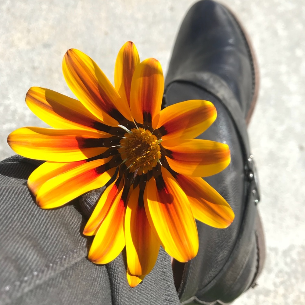 Meet your Posher, Jeanine